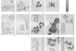 花卉图册