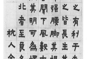 隶书松赞