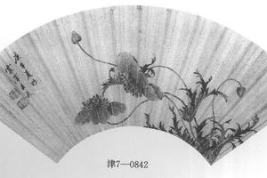 虞美人花图