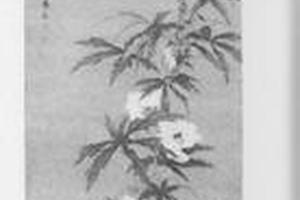 花鸟图