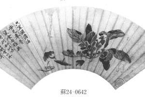 菇蔬图