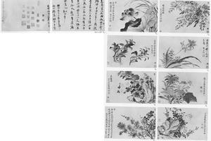 花卉图册