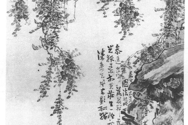 猫蝶藤花图