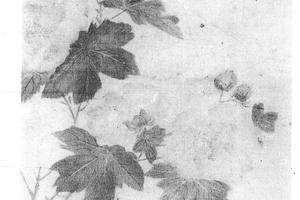 芙蓉图