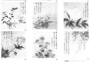 花卉十开