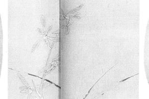 兰花图册页