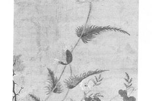 芥子图