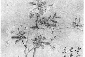 海棠