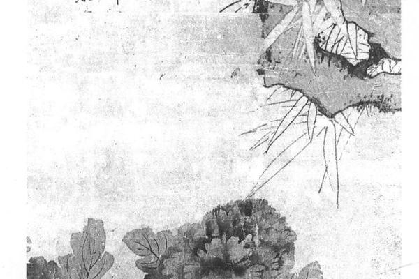 牡丹竹石图轴