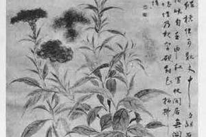 鸡头图