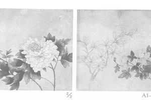花卉图册页