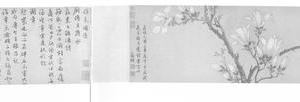 玉兰花图卷