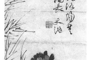 花卉