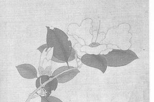 花木图册页