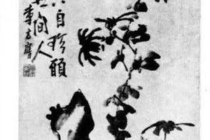 菊石图