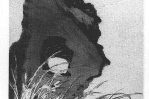 秋兰文石图轴