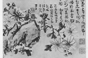 雪菊图