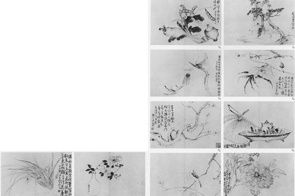 杂画册
