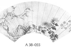 菊石图扇面