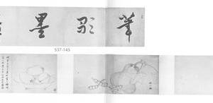 花果图卷