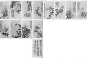 菊花图册