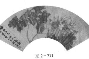 牡丹