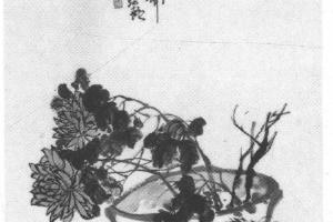 盆菊图