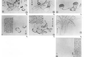 花卉图册