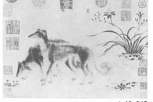 犬图