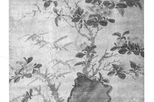 山茶竹石图轴