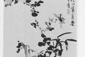 菊图