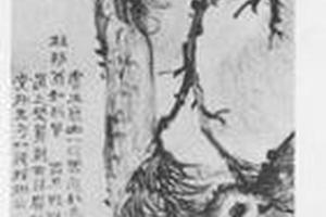 老松图