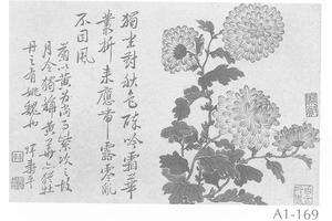 菊花图册页