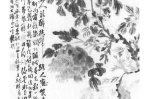 牡丹兰石图