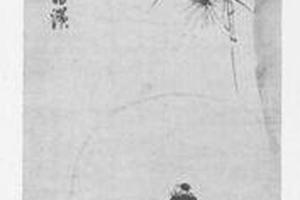 白衣观音图