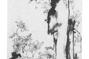 菊石图轴
