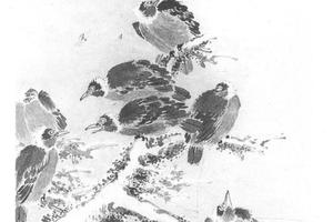 慈乌图