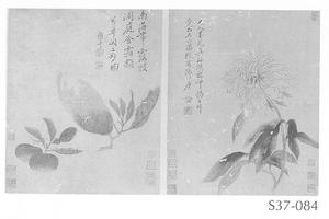 花果图册页(二页)