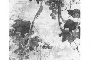 墨葡萄