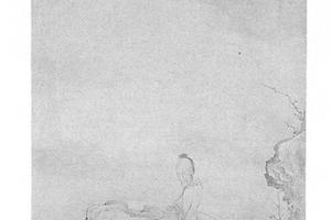 人物图
