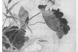 荷花鹭鸶图