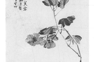芙蓉轴