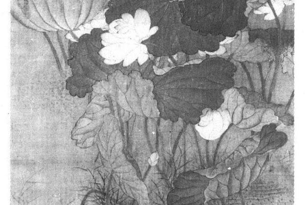 荷花