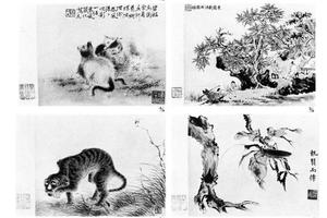 杂画册