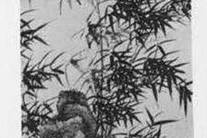竹石图