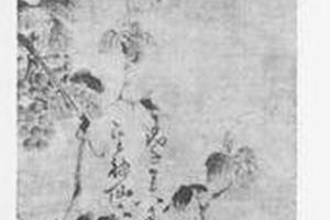 葡萄图