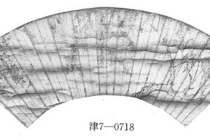 杨柳图