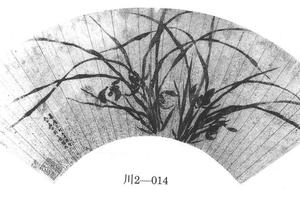 兰花