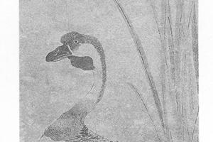 鹙鸟图