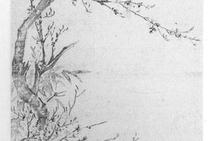 桃花白头圆